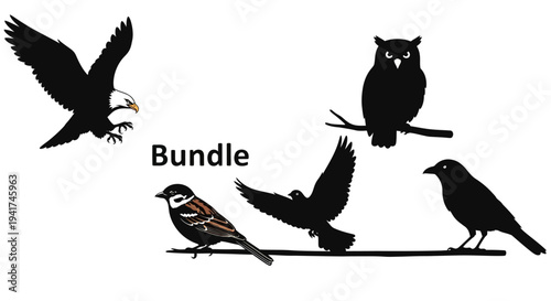 Diverse Bird Silhouettes Collection: Eagle, Owl, Sparrow, Crow, Flying