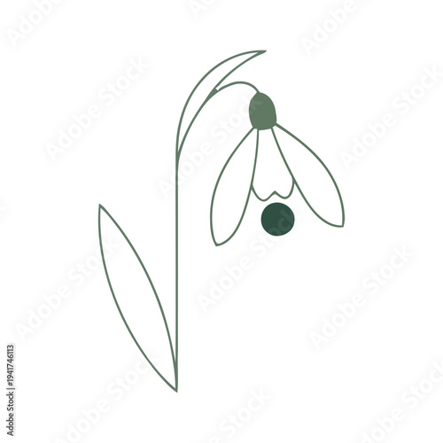 Minimalist hand-drawn snowdrop flower line art illustration. Elegant spring galanthus botanical sketch isolated on white background.