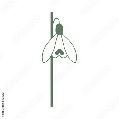 Minimalist Green and White Snowdrop Flower Illustration Isolated on White Background