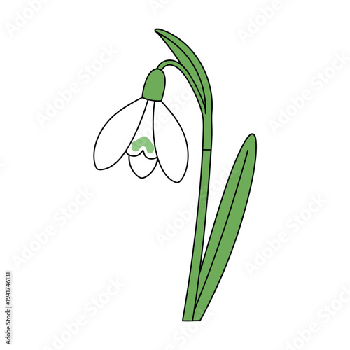 Minimalist snowdrop flower illustration isolated on a white background. Simple line art drawing of a spring galanthus blossom.