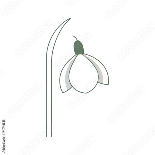 Minimalist vector illustration of a snowdrop flower, isolated on a white background. Delicate spring floral line art design.