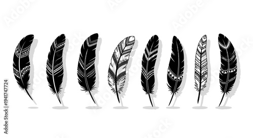 Collection of black and white feather illustrations on white background.