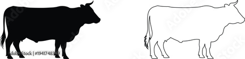 Black Silhouette and White Outline of a Cow Side View Isolated on White Background