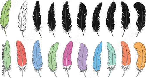 Large collection of colorful bird feathers and black silhouettes isolated on white background for tribal boho decoration and natural design elements