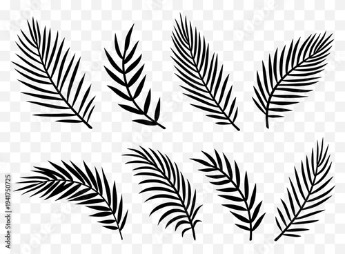 Decorative tropical palm leaves branches set