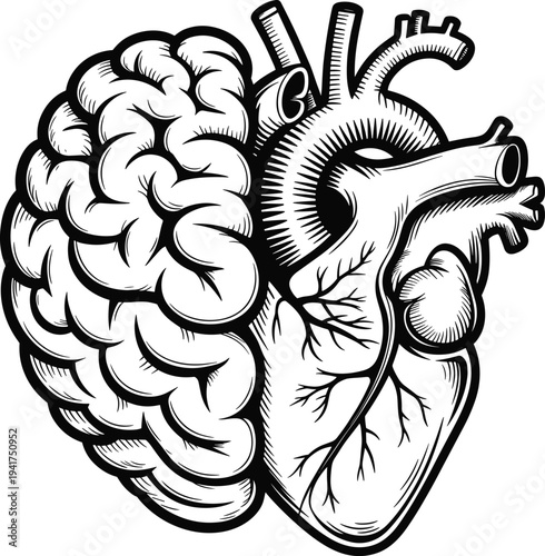 Human Brain and Heart Combination Vector Illustration Medical Symbol Anatomy Concept