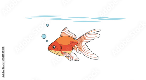 Beautiful orange and white goldfish swimming gracefully in clear water with small air bubbles and water line above.