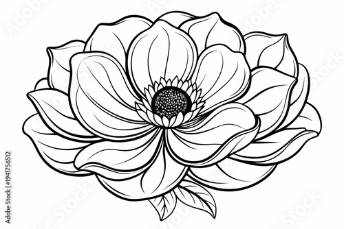 Foto coloring page line art the anemone flower black vector