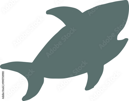 Shark Silhouette Graphic