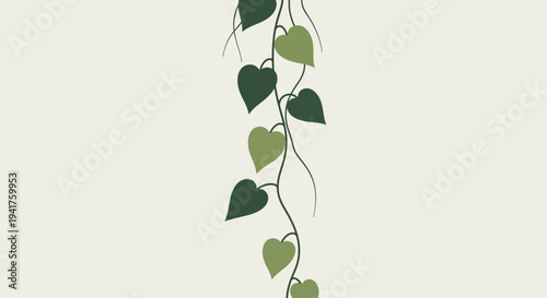 A delicate green vine with heart shaped leaves.