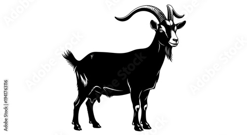 Black goat with large curved horns standing on white background.