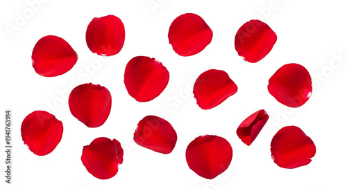 Scattered red rose petals on a white background.