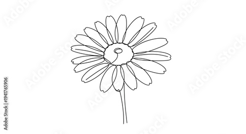 Single Daisy Flower Line Drawing, Minimalist Floral Art, Simple Botanical Illustration
