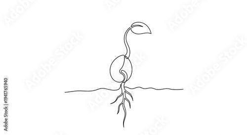 Single line drawing of a seedling sprouting, new growth, roots, and leaves