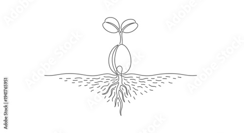 Seedling Growing with Roots and Leaves