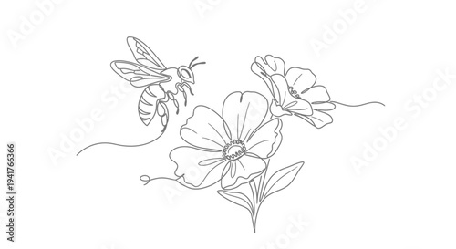 Minimalist line art bee flying towards cosmos flowers, simple nature sketch