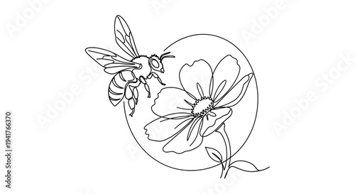 Minimalist bee and flower line art, single line drawing, nature illustration