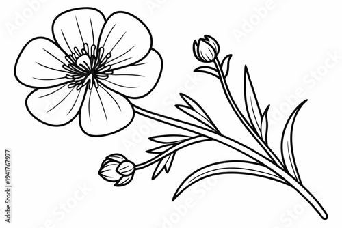 coloring page line art the buttercup flower black vector