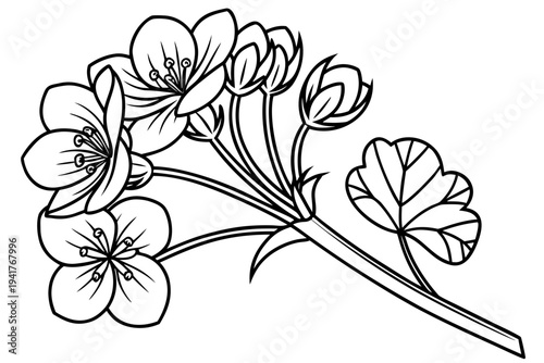 coloring page line art the buttercup flower black vector