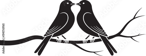 Black and white bird couple on branch vector