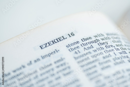 Canvas-taulu A selective focus macro shot of an open Bible page featuring the chapter title E