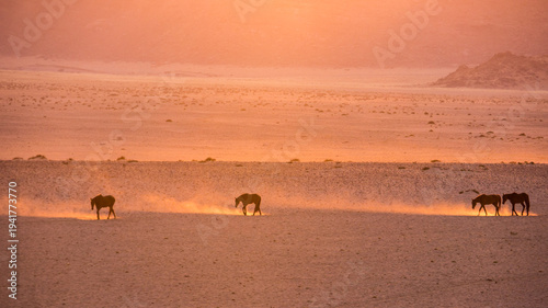 A herd of desert horses kicking up dust while trekking along the barren plains at Aus in Namibia at Dawn