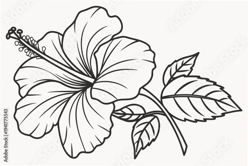 Fotografía coloring page line art the hibiscus flower black vector