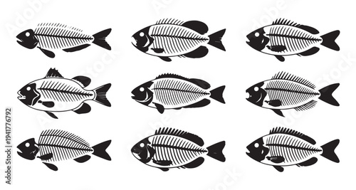 Set of nine black and white fish skeletons vector illustration isolated on white background for design