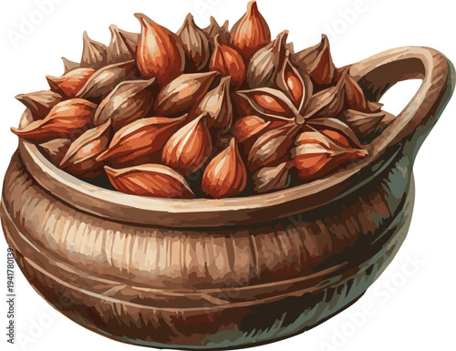 Vector watercolor illustration of a star anise