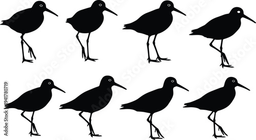 Black Sandpiper Silhouette Collection Featuring Shorebird Shoreline Wader Figures in Various Walking and Standing Poses Isolated on White Background for Wildlife Nature Graphic Design