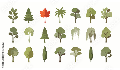 Landscape tree elevation vector set with botanical tree symbols and flat design plant elements for architecture plans