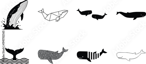 Black whale silhouettes and stylized vector illustrations including breaching, geometric, striped, maze pattern, tail, minimal design artwork