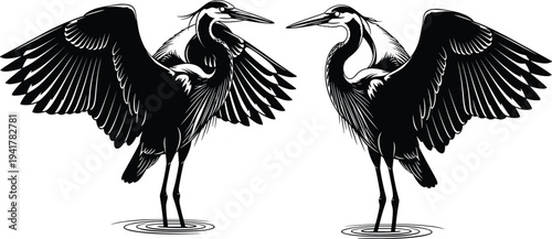 Two Great Blue Heron Birds Standing in Water With Spread Wings Black and White Vector Illustration Silhouette Isolated on White Background for Design