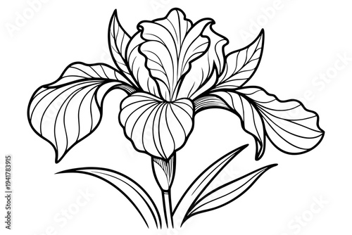 coloring page line art the iris flower black vector