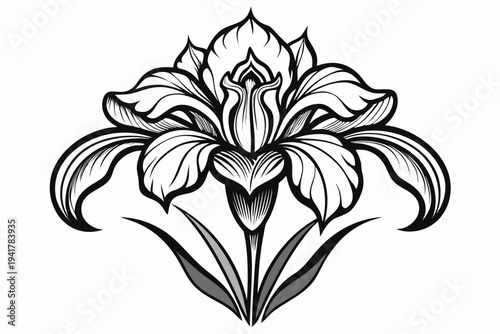 coloring page line art the iris flower black vector