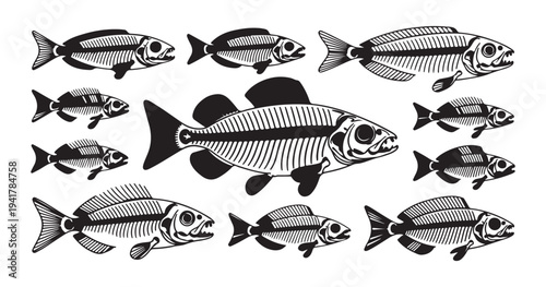 Set of black and white fish skeletons vector illustration isolated on white background for design element