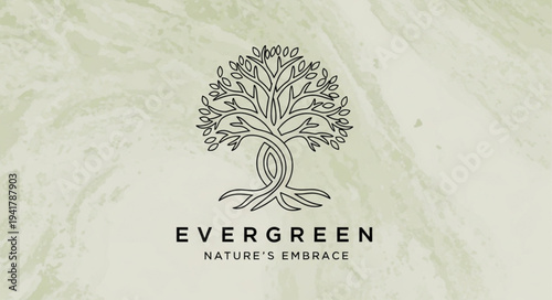 Elegant Evergreen Tree Logo Design for Nature Brand.