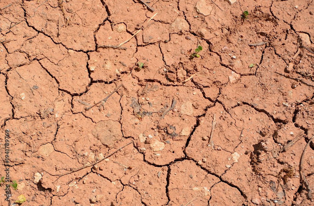 Fototapeta premium Dry red Earth Surface Texture with cracks flat lay