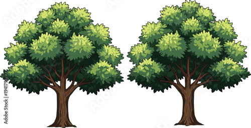 Cartoon vector illustration of two lush green trees with full canopies and brown trunks, symbolizing nature, environment, and educational design themes