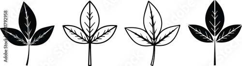 Four different types of leaves in black and white