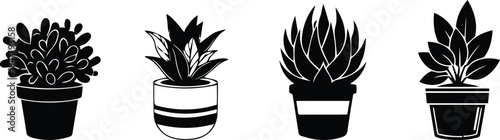 Four different potted plants with unique foliage and containers