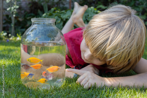 boy lies on the grass on a summer day, watching a multitude of fish in a clear jar. A purchase for an aquarium, the child becomes fascinated with the world of fish.