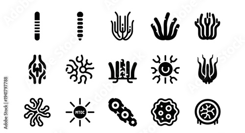 Various microorganism illustrations depicted in black silhouettes on a clean white background from a straightforward viewpoint
