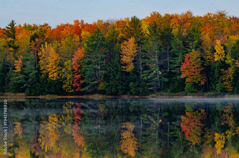 Obraz premium 551-62 Autumn Shore