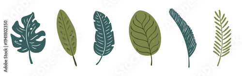 Palm tree, tropical leaves illustration isolated set. Seasonal design element, foliage, summer holidays, vacations, resort. Jungle, rainforest plant. Flat clip art collection, hand drawn vector