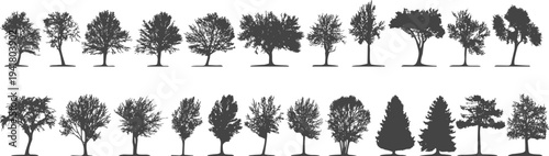Tree silhouette icons set for nature, landscape, and environment design. Minimal black tree shapes including oak, pine, palm, and forest styles. Clean vector graphics for landscaping plans, maps, 