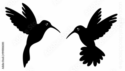 Two hummingbirds in mid-air dance, wings spread wide in flight