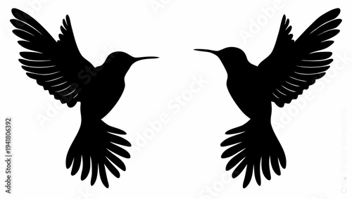 Two hummingbirds in mid flight facing each other with wings spread