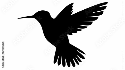 Majestic hummingbird in mid flight with wings spread wide freely