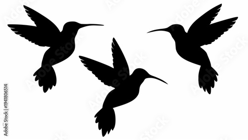 Three black hummingbirds flying in formation against transparent background